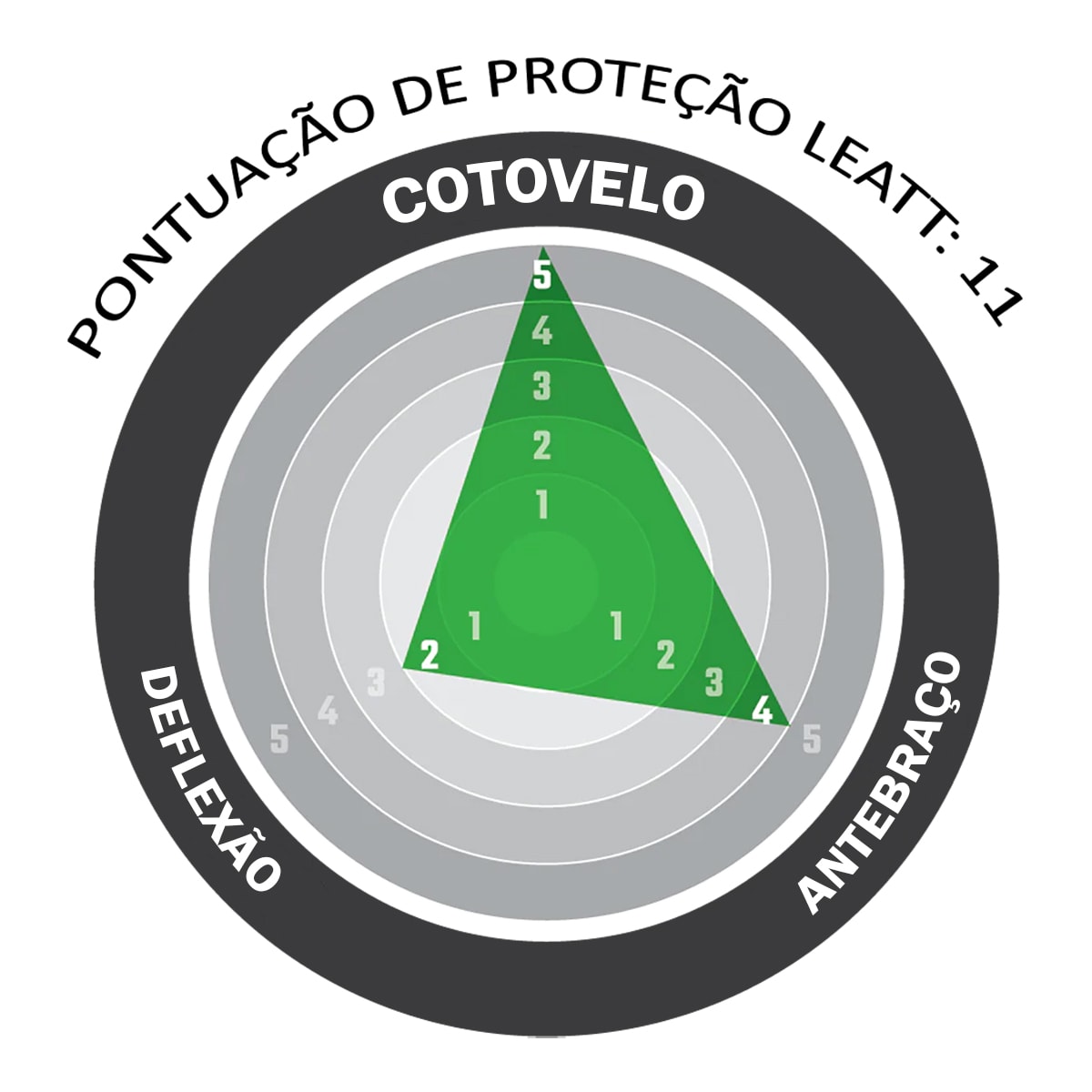 Image em miniatura da foto do produto - 8aec61c9-accd-45af-8181-d738422c9ea3