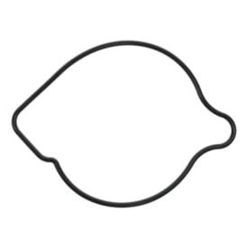 Junta Bomba Dágua Crf 450r 09/16 Original Honda