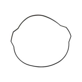 Junta Tampa de Embreagem Ktm 65 Sx 09/25 Original