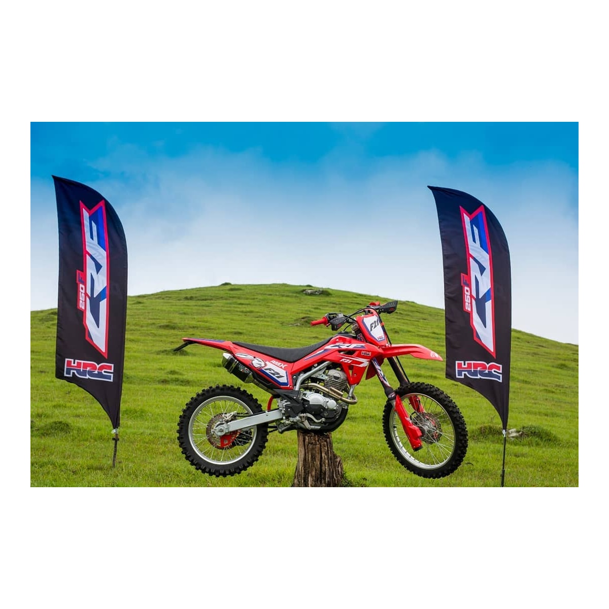 Image em miniatura da foto do produto - 214e5454-8acd-412c-a11a-f15fae709a4b
