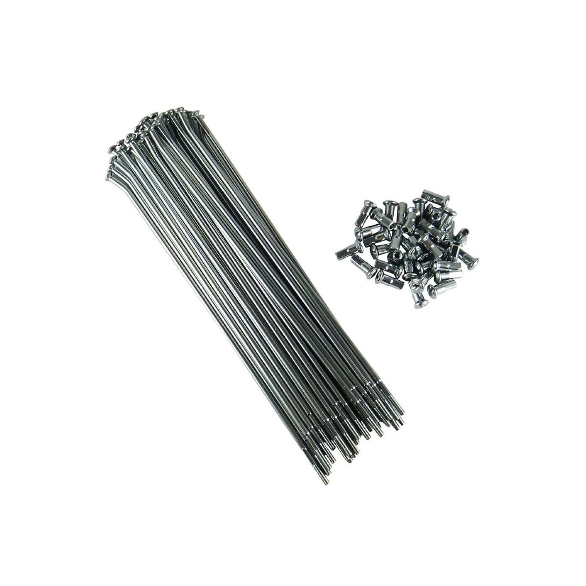 Product main image - d286a629-257b-4c44-bc43-7809dfc1b2a4