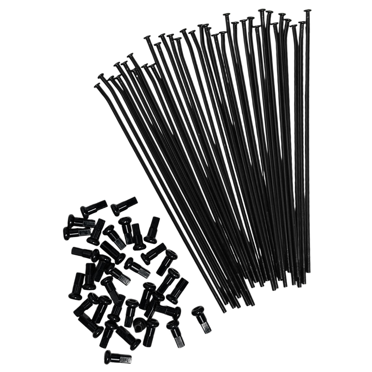 Product main image - 2eb9d264-1563-42b0-a6aa-2b051e6db901