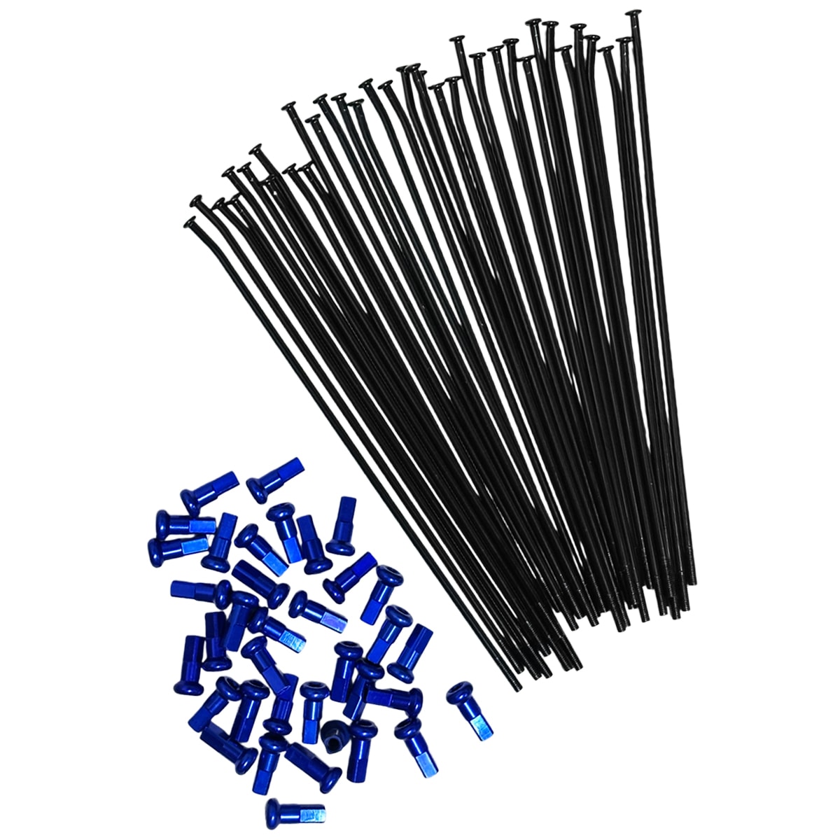 Product main image - cd91852d-08ee-4369-a888-401887dbdc92