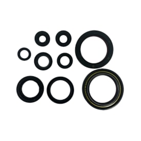 Kit Retentor de Motor Crf 250r 10/17 Red Dragon