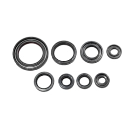 Kit Retentor de Motor Yzf 250 01/13 - Wrf 250 01/15 Red Dragon