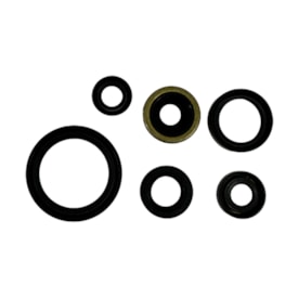 Kit Retentor Motor Drz 400 00/20 Red Dragon