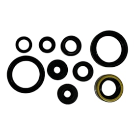 Kit Retentor Motor Kxf 250 16/16 Red Dragon