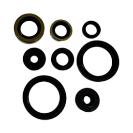 Kit Retentor Motor Kxf 250 17/19 Red Dragon