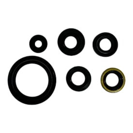 Kit Retentor Motor Kxf 450 19/24 Red Dragon