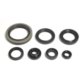 Kit Retentor Motor Rmx 250 97/98 Athena