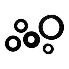 Kit Retentor Motor Yzf 250 19/20 Red Dragon