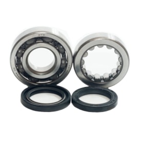 Kit Rolamento + Retentor De Virabrequim Crf 450r 06/16 Ims