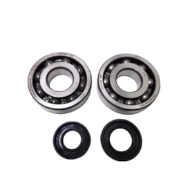 Kit Rolamento + Retentor de Virabrequim Kx 250 - 03 a 08 Athena