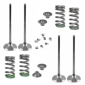 Kit Válvulas + Molas Admissão e Escape Kxf 250 17/20 Pro Circuit