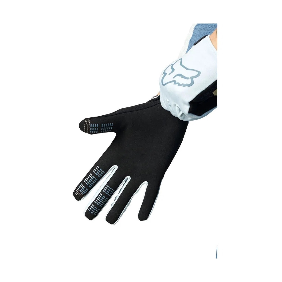 Image em miniatura da foto do produto - 7cfc2d78-c127-4d81-908d-12b641941a18