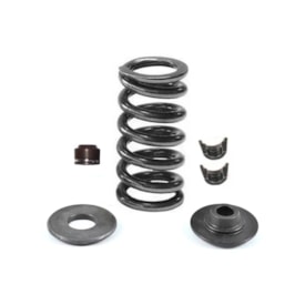 Mola Válvula de Admissão Ktm Sxf 250 13/15 - Xcf 250 14/15 Kit Original