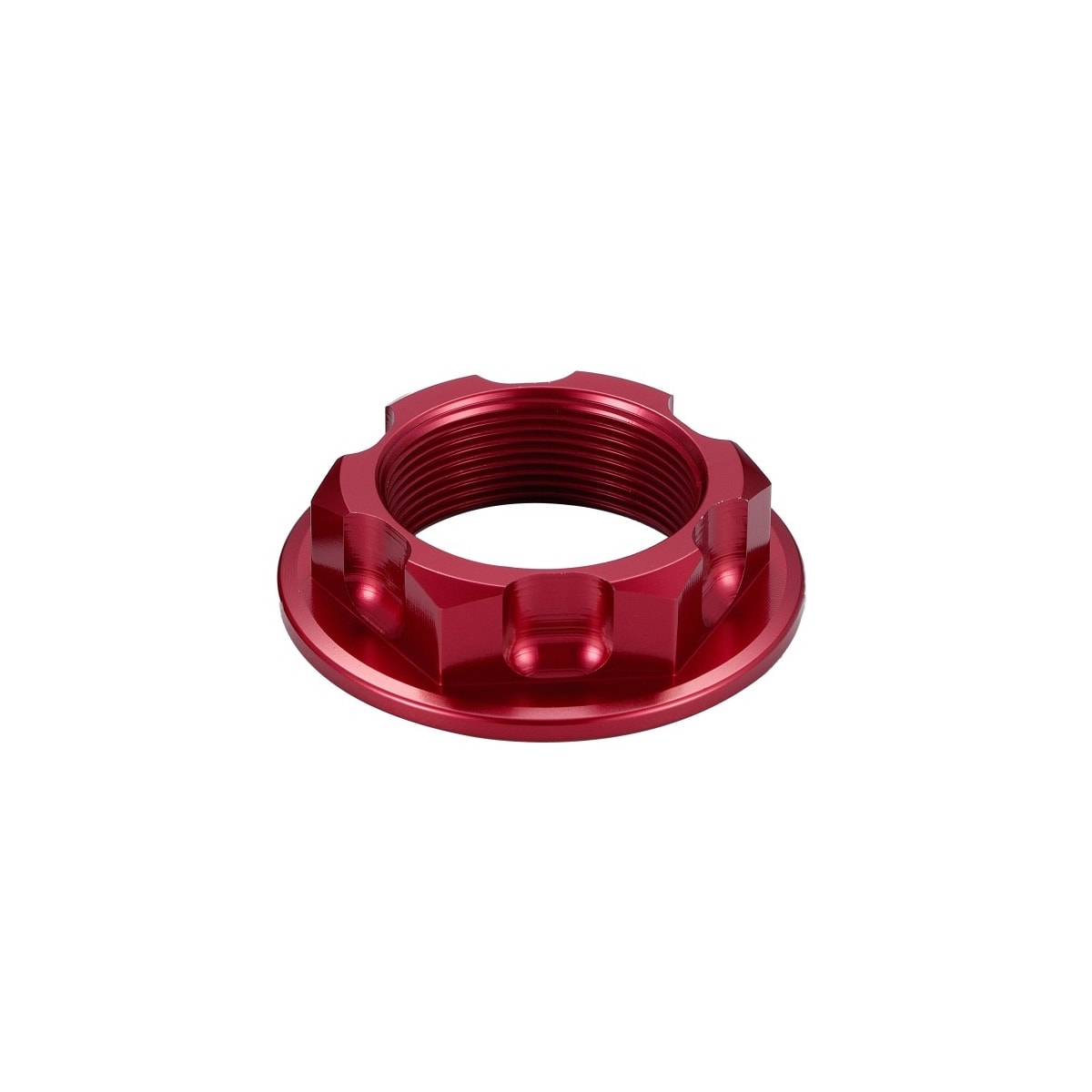Image em miniatura da foto do produto - c59d5f17-cde7-4205-a18b-94af48054286