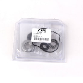 Reparo De Bomba Dágua BR Parts Crf 450R 09 a 16 Com Rolamento