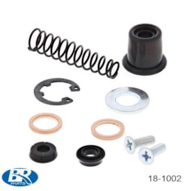 Reparo De Freio Dianteiro BR Parts Crf 250/450R 02 a 06 250/450X