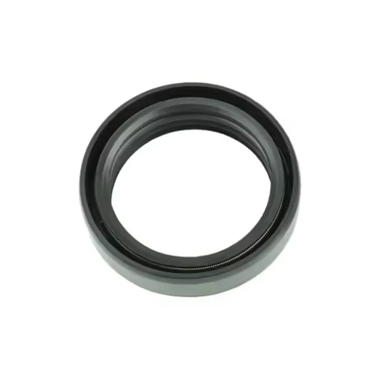 F10老船ドックへ Retentor de Bengala 34x48x11 Athena Nok
