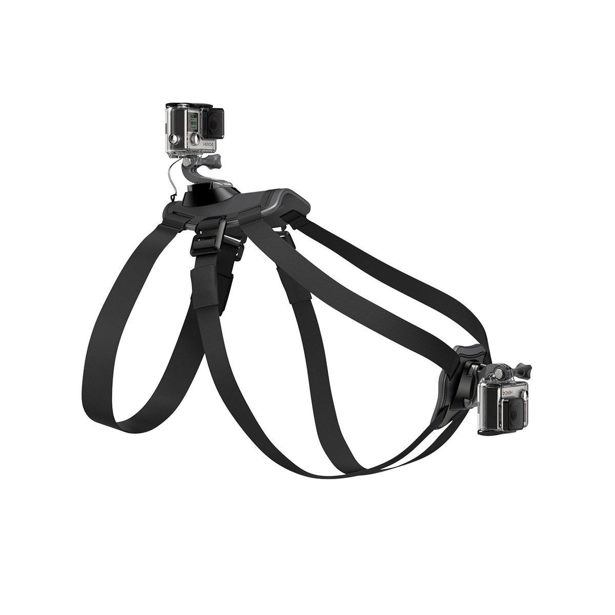 Product main image - ff17470b-5479-415f-b29e-5dc734b6f3d2