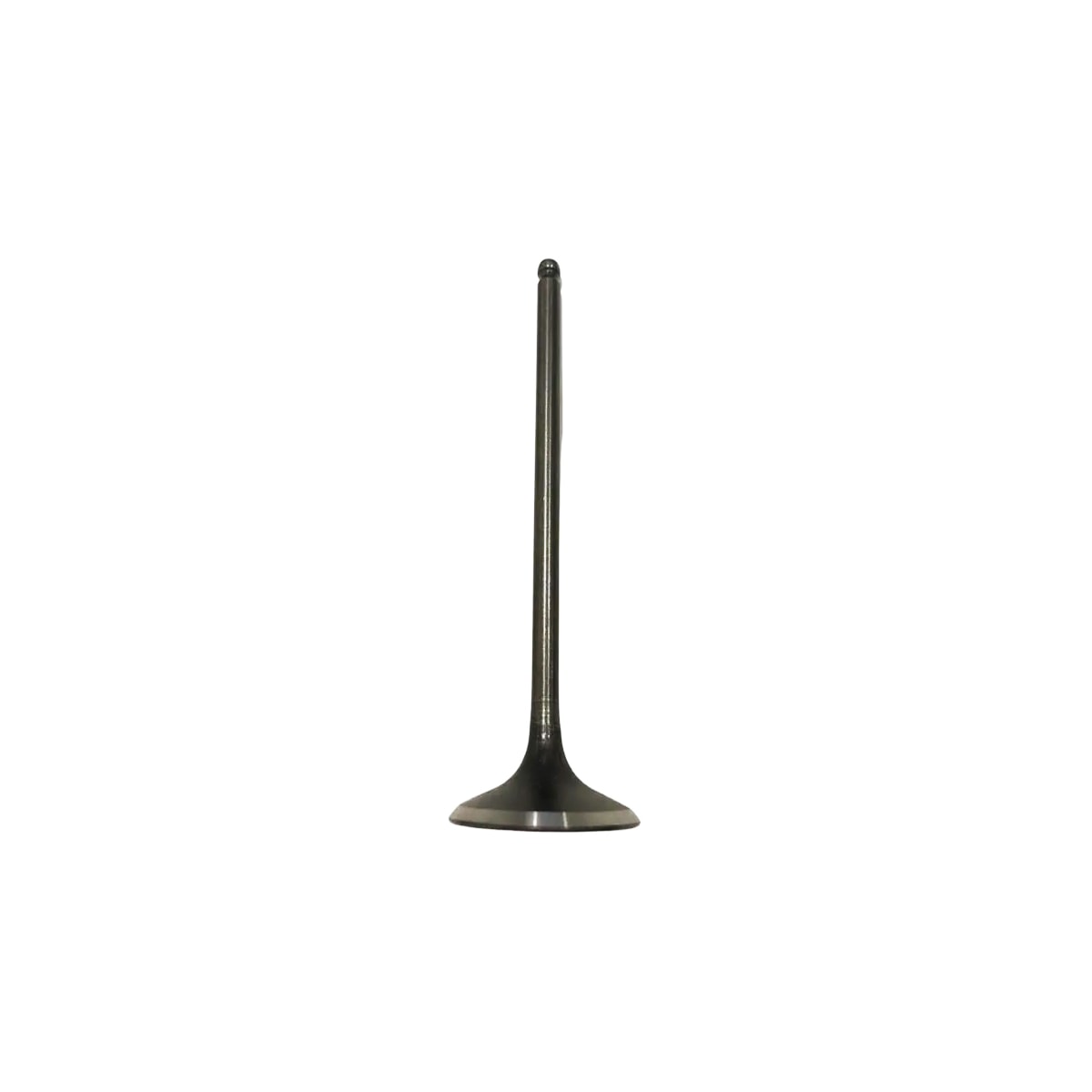 Product main image - 0ede7088-144a-4bee-a551-c0d7e0b21b17