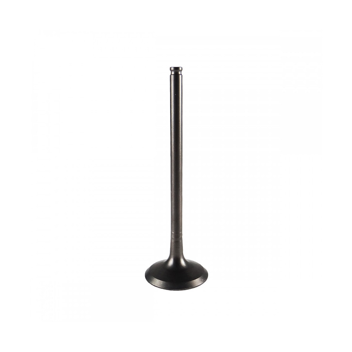 Product main image - f12ab55a-07b1-4f26-b606-7fd37c7c9b7c