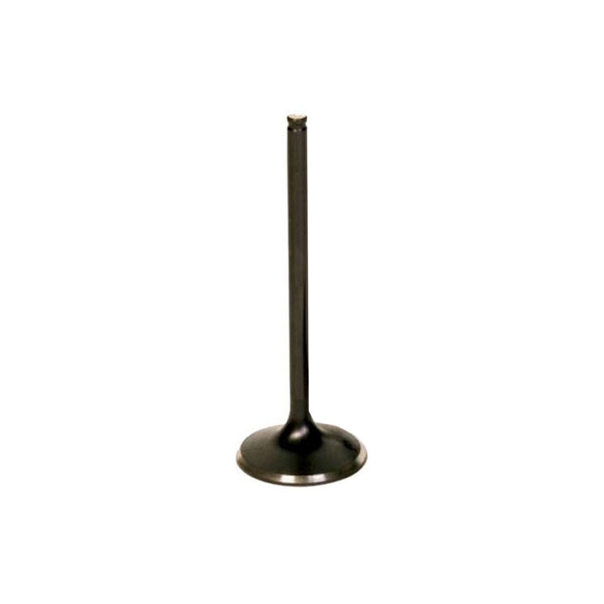 Image em miniatura da foto do produto - 446ae7b8-ef8e-4e2a-80d6-c3a50a924dd1