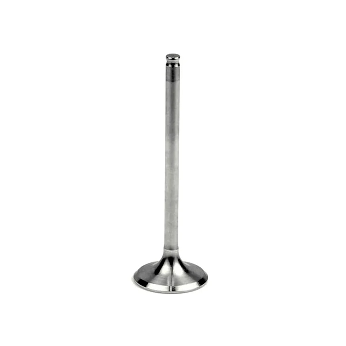 Product main image - 8e827002-d815-44e4-ac95-585f155c7f42