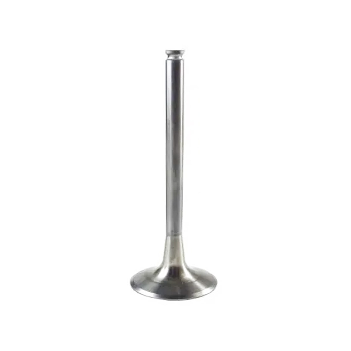 Product main image - ad9f987e-3fb3-4cd8-a837-ff338291da03