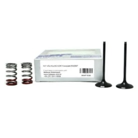 Segunda imagem do produto Válvula de Admissão Kxf 250 09/10 + Molas 3B
