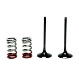 Válvula de Admissão Kxf 250 09/10 + Molas 3B