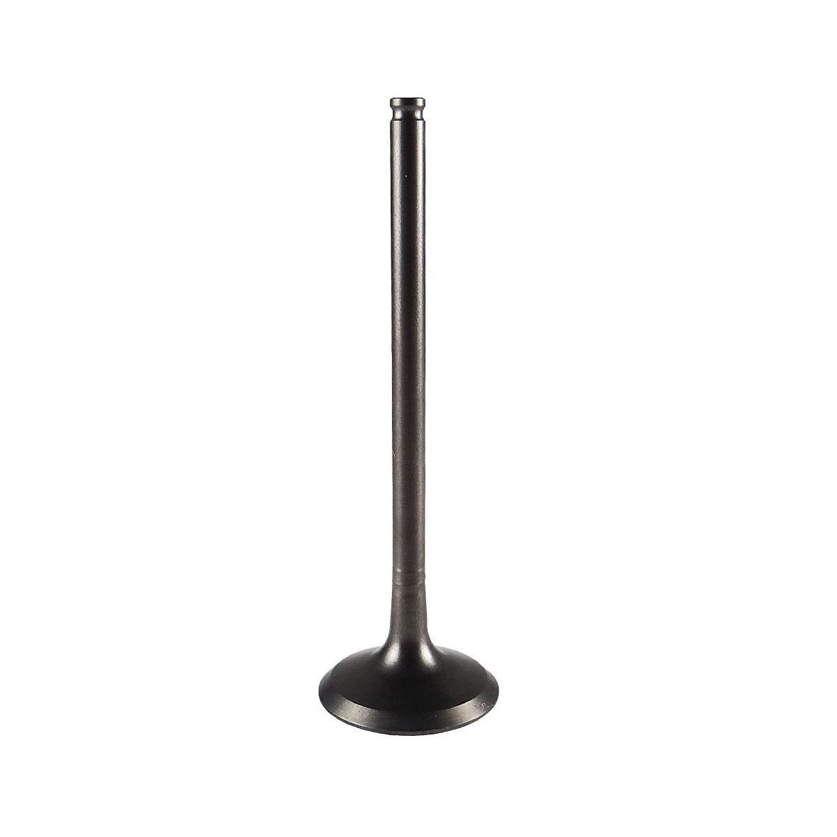 Product main image - d63c531f-72cc-477d-8b1e-0bd24f6dd075
