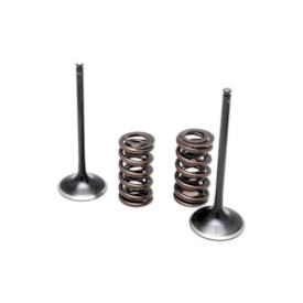 Válvula de Admissão + Molas Crf 250r 08/09 3B