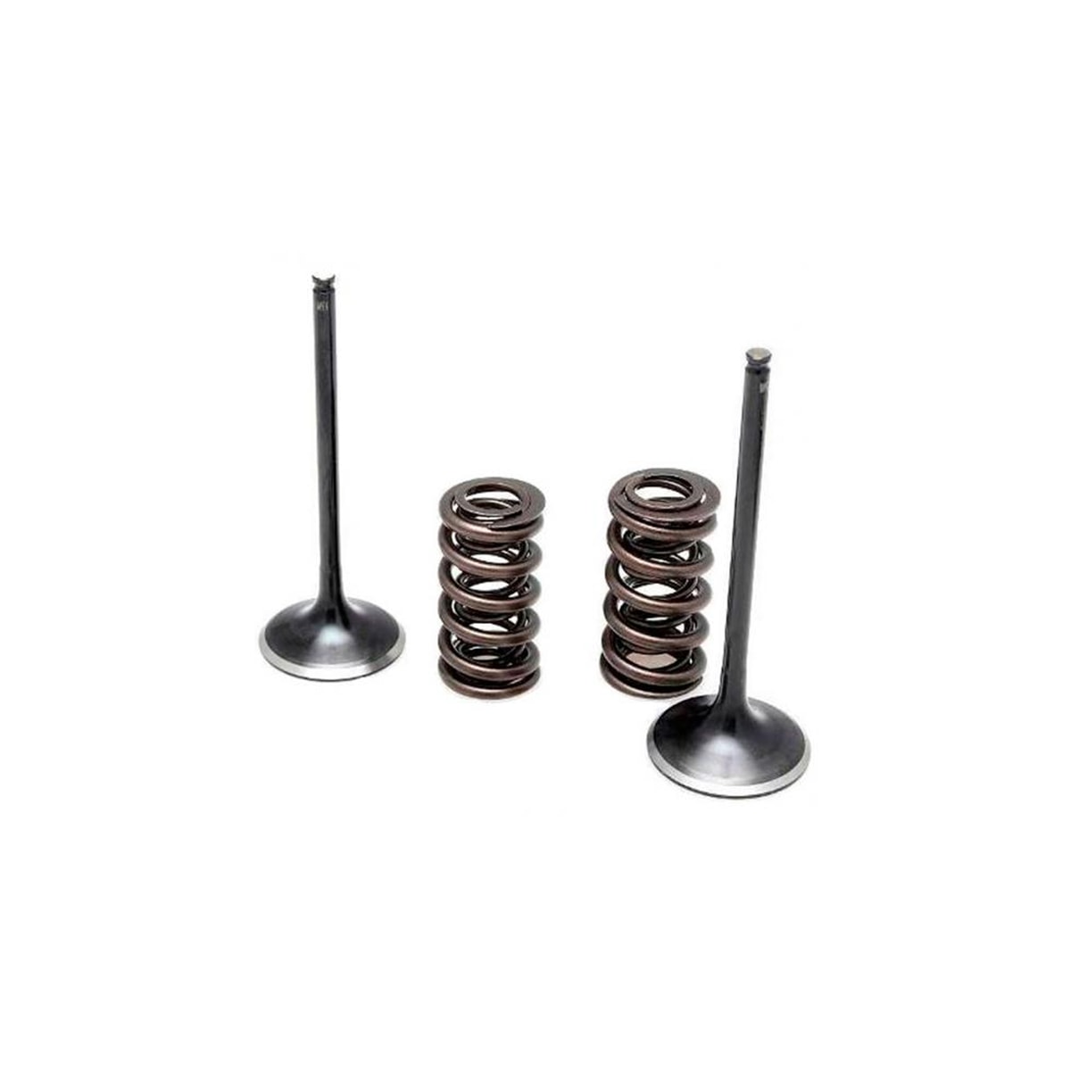 Product main image - 7003deba-51b4-4495-bd15-3baf139e7396