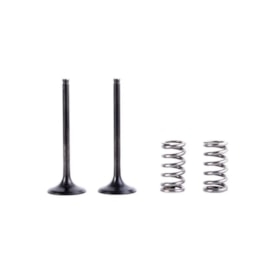Válvula De Admissão + Molas Rmz 450 08/18 Prox
