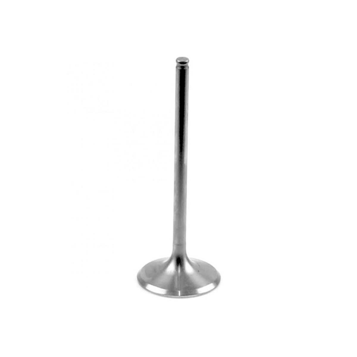 Image em miniatura da foto do produto - 752514a9-d29a-45c8-bed3-c381faafe119