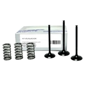 Válvula de Admissão Yzf 450 03/09 + Molas 3B