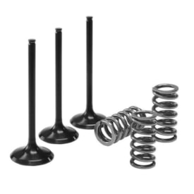 Válvula de Admissão Yzf 450 03/09 - Wrf 450 03/15 + Molas Prox