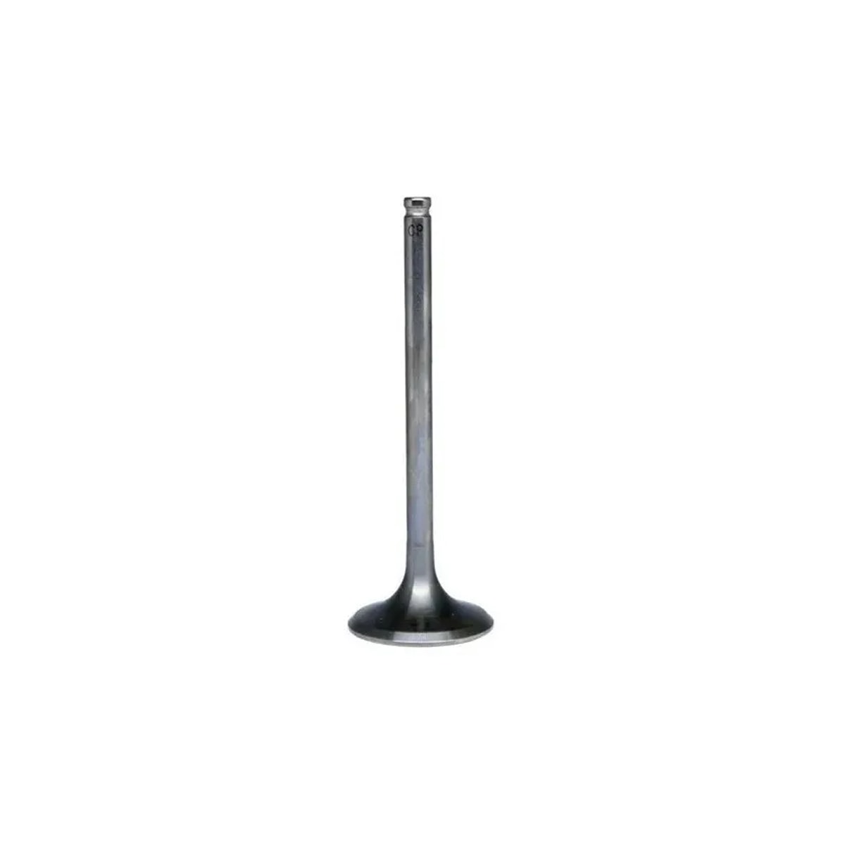 Image em miniatura da foto do produto - f7498893-f2f0-473f-bc71-d7ec5a99ef98