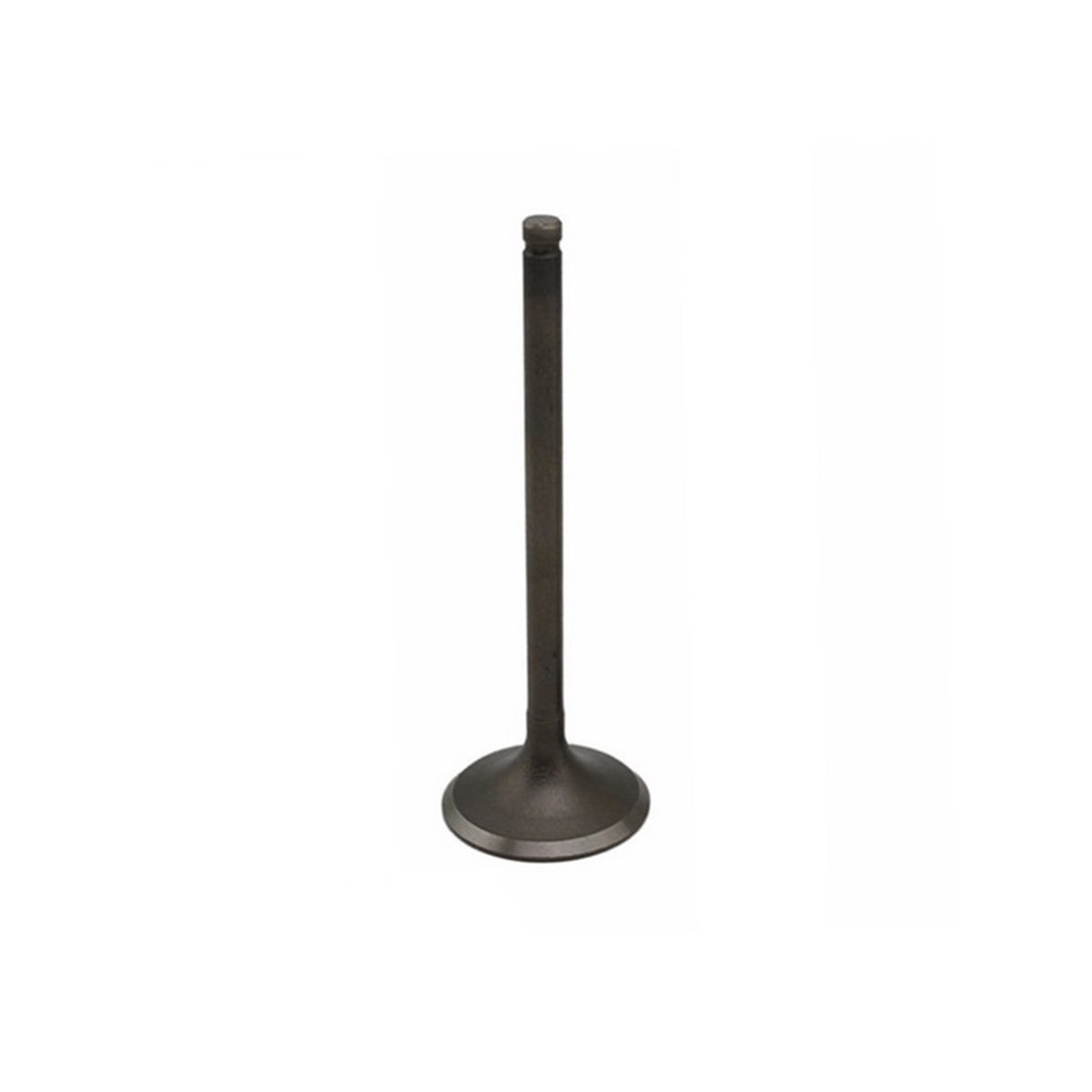 Image em miniatura da foto do produto - 032e40e1-9764-4d88-913e-efb7dab0798a