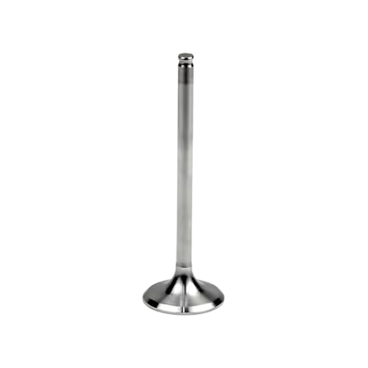 Product main image - 764f4538-1df1-49ef-9909-d696a688318b
