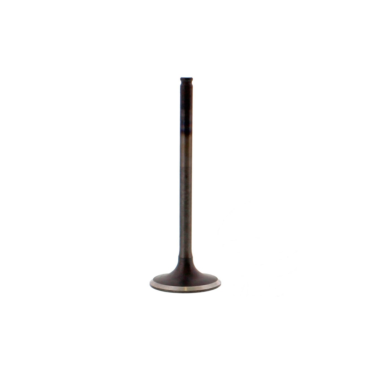 Product main image - 30a0dee7-c302-4685-bade-a1745e69aff7