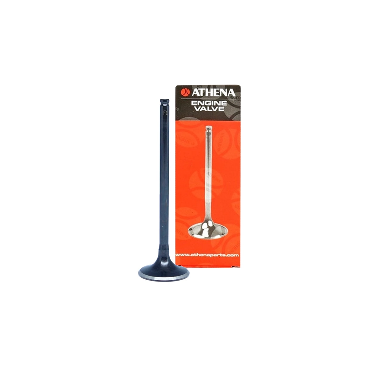 Image em miniatura da foto do produto - 4e9982e9-fbd8-454e-a8a8-da84484a5295