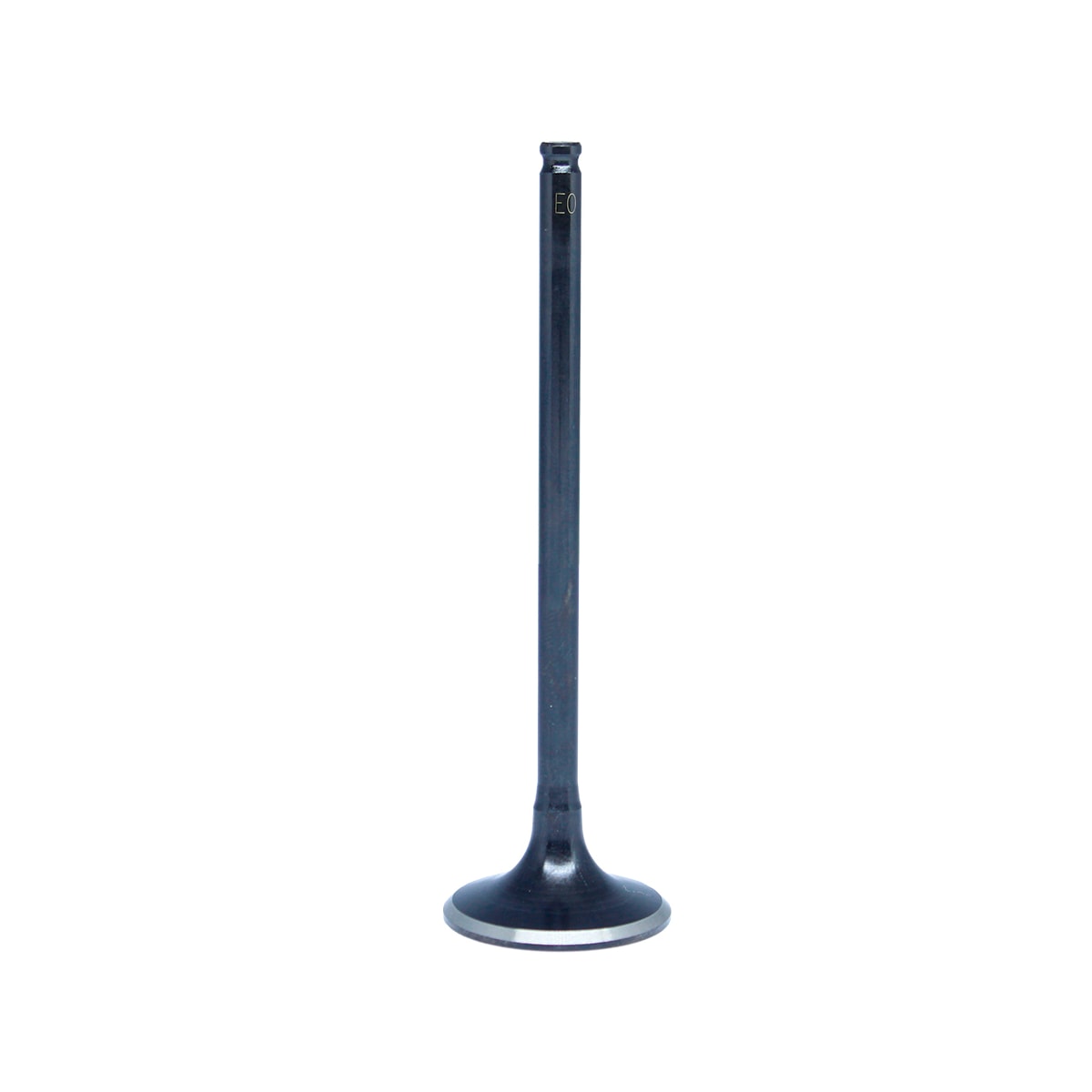 Image em miniatura da foto do produto - d930c274-9412-4d16-9cfa-9657d40c12d6
