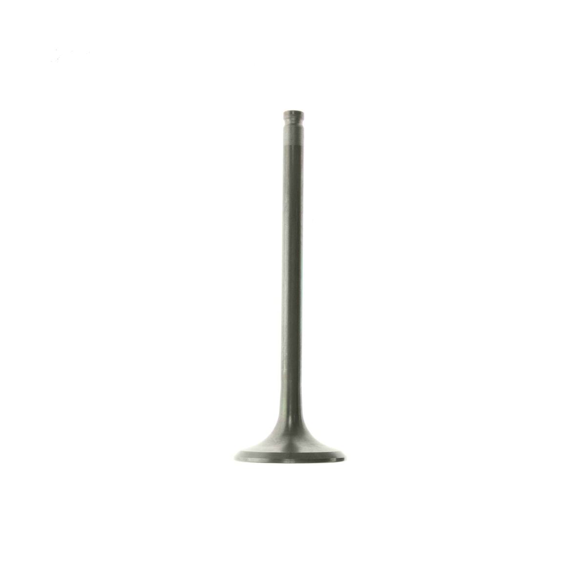 Image em miniatura da foto do produto - bc0ad383-538d-4204-b978-75bc4c495473