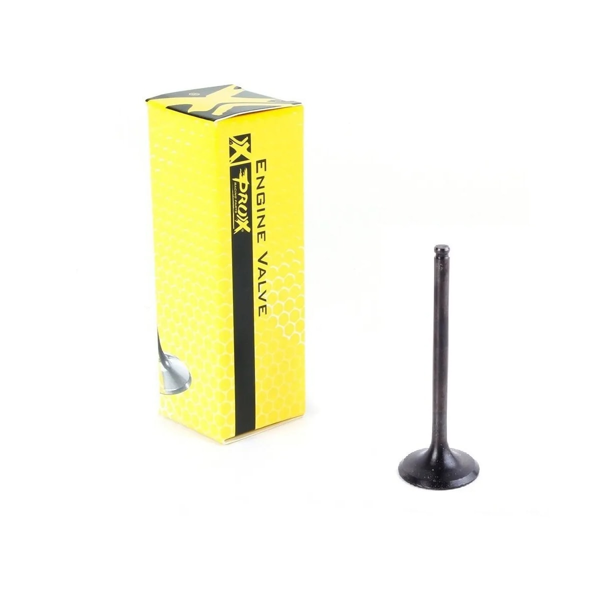 Image em miniatura da foto do produto - 3f378d19-39c8-43f6-be44-e2c08217aa93