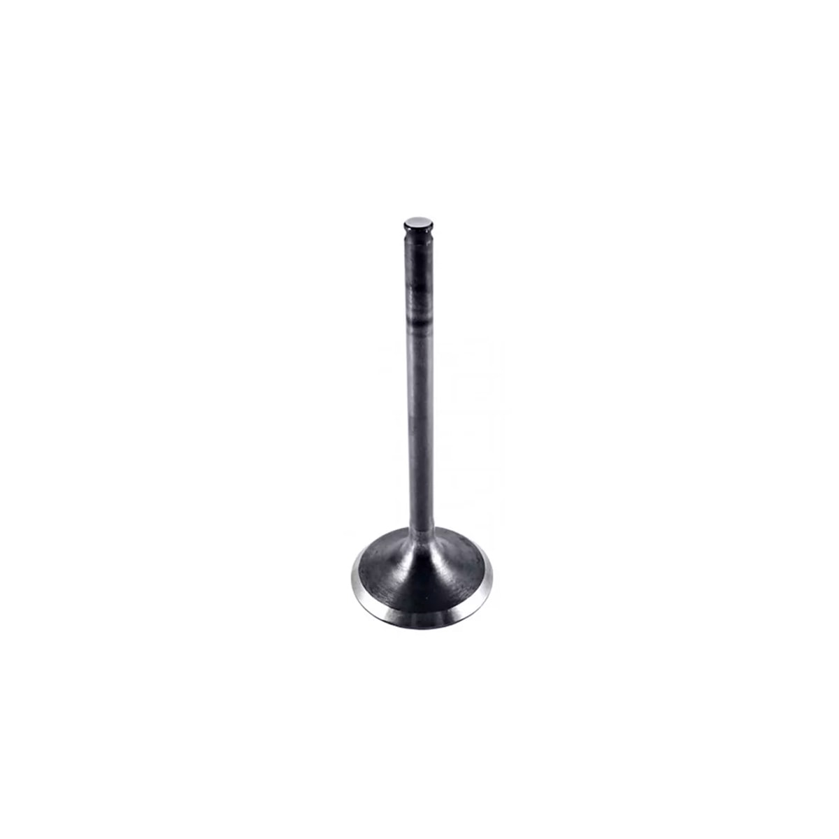Product main image - e6cb4f80-03f8-437b-8d90-16ba3a6a961e