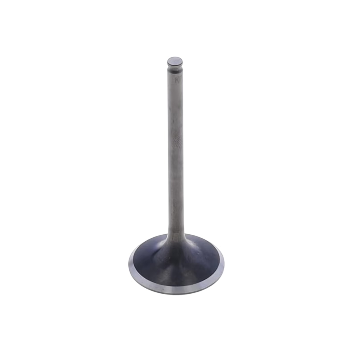 Product main image - 18951846-5c6d-4131-9da7-98fb03aee43d