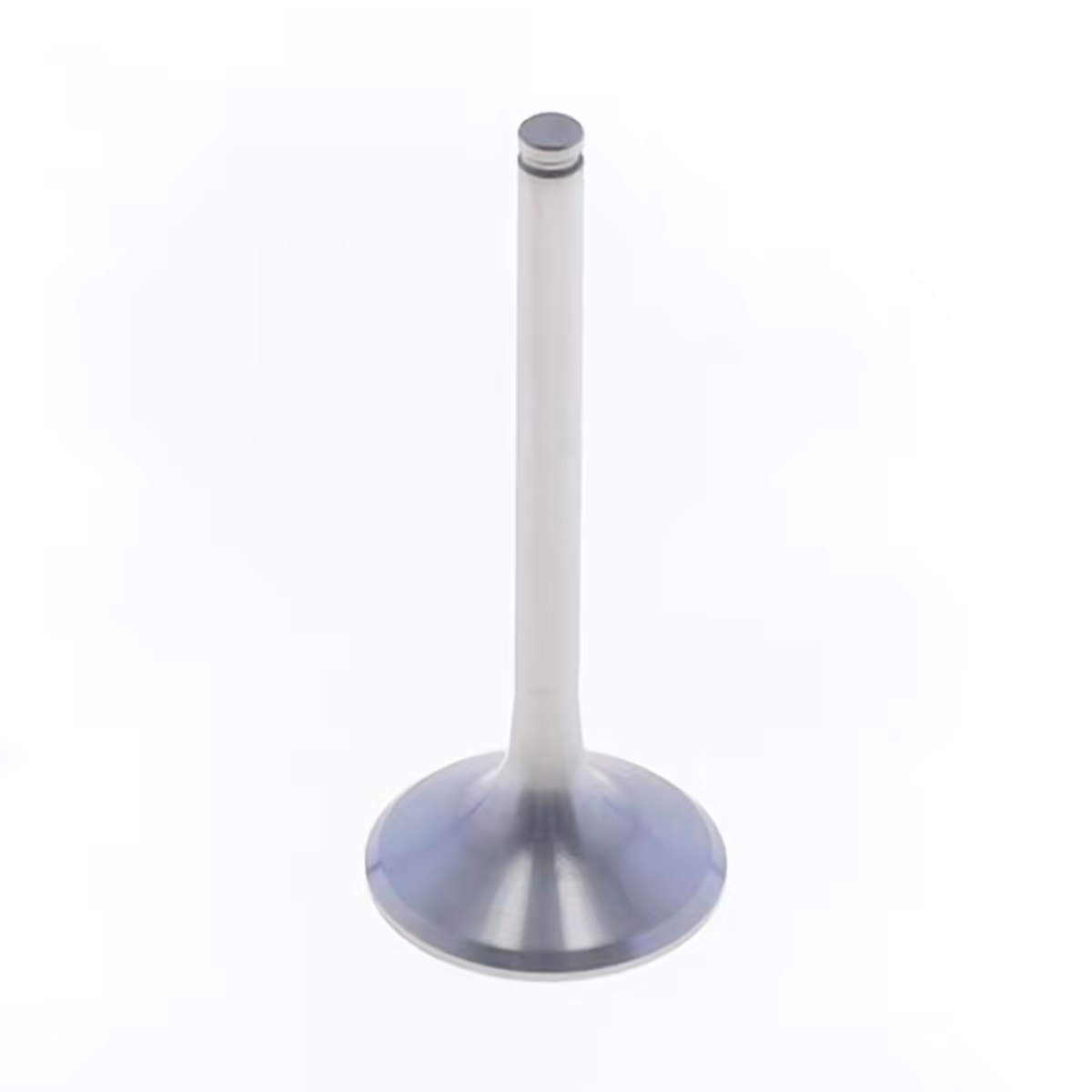 Product main image - 9c4b3156-508b-4d36-977d-571c3a8adcf8